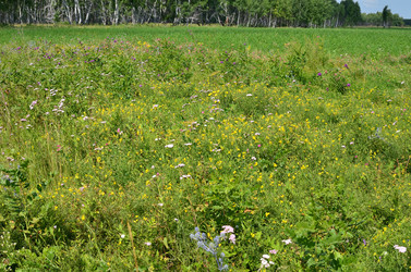 Similar image 21807223