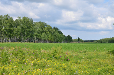 Similar image 21807224