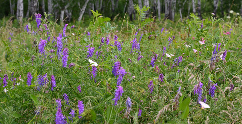 Similar image 21807226