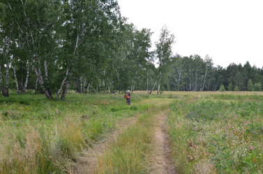 Similar image 21807229