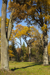 Similar image 21807084