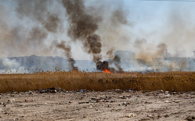 Similar image 21807232