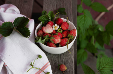 Similar image 21807235