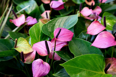 Similar image 21807237