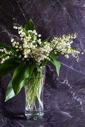 Similar image 21807242