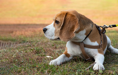 Similar image 21807251