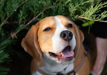 Similar image 21807253