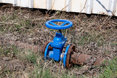 Similar image 21807254