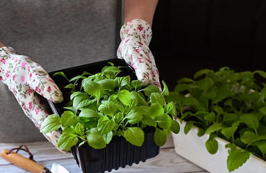 Similar image 21807257