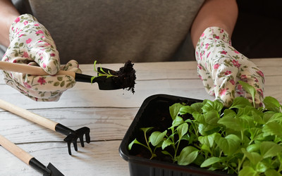 Similar image 21807258