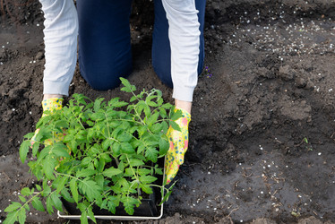 Similar image 21807268