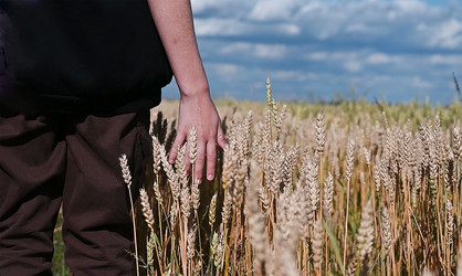 Similar image 21807270