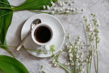 Similar image 21807274