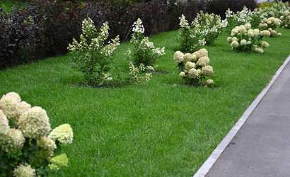 Similar image 21807276