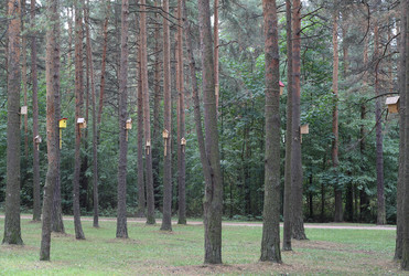 Similar image 21807093