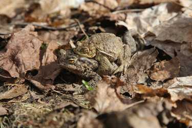 Similar image 21807097