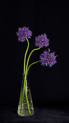 Similar image 21807098