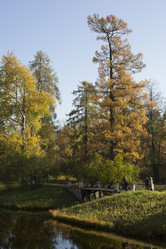 Similar image 21807099