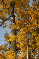 Similar image 21807101