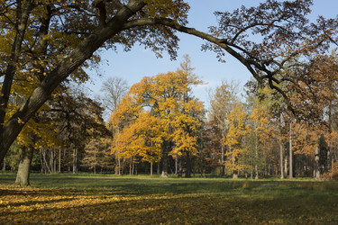 Similar image 21807105