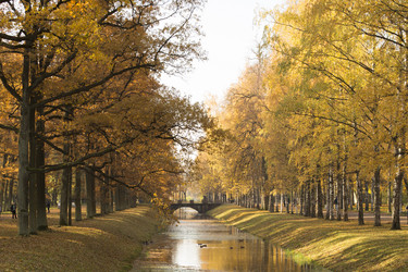 Similar image 21807106