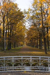 Similar image 21807109