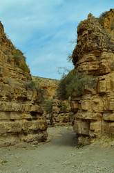 Similar image 21807735