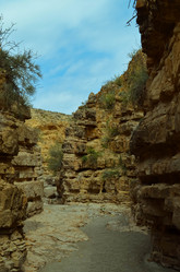 Similar image 21807737