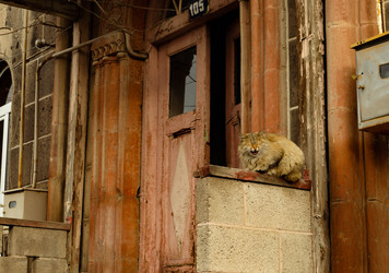 Similar image 21807754