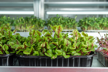 Similar image 21807114