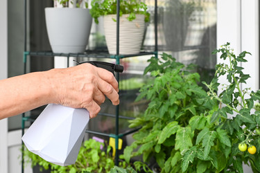 Similar image 21807115