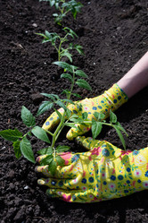 Similar image 21808507