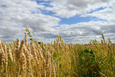 Similar image 21808508