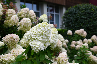 Similar image 21808511