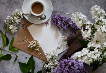 Similar image 21808513