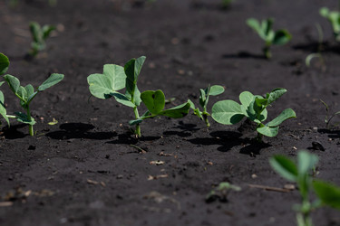 Similar image 21808515