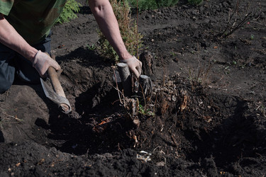 Similar image 21808519