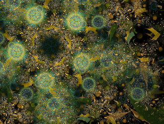 Similar image 21811190