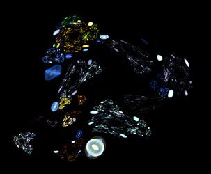 Similar image 21807286