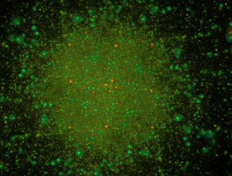 Similar image 21811441