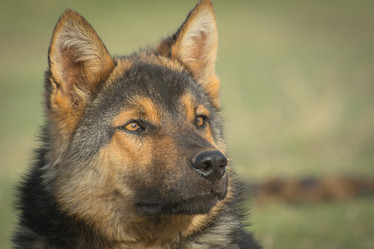 Similar image 21807765