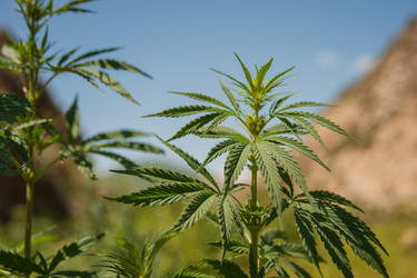 Similar image 21807768