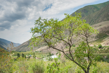 Similar image 21807774