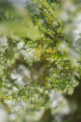 Similar image 21807777