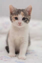 Similar image 21807781