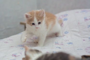 Similar image 21807789