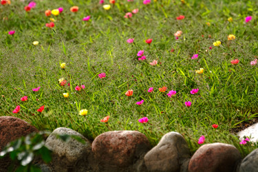 Similar image 21807798