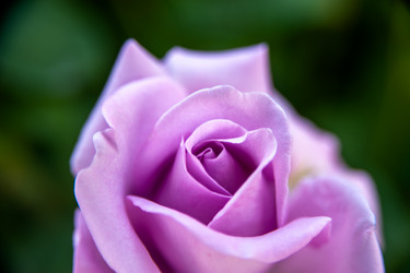 Similar image 21807806