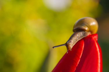 Similar image 21807807