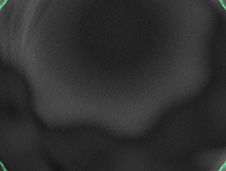 Similar image 21812948